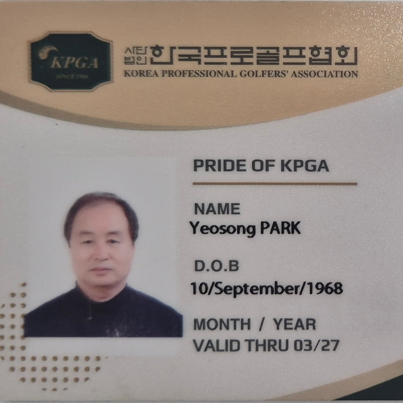박여송 골프 전문 강사